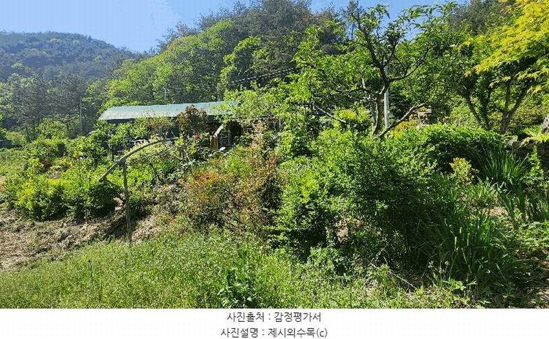 2025타경672 경상남도 진주시 진성면 대사리 1392 농지 경매 이미지
