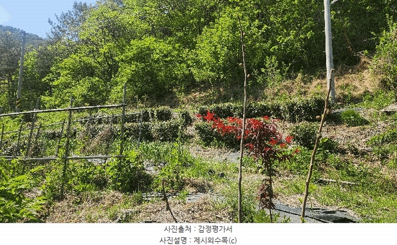 2025타경672 경상남도 진주시 진성면 대사리 1392 농지 경매 이미지