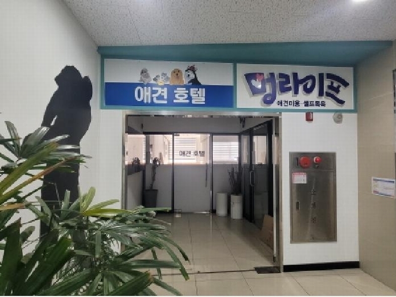 2025타경841 대구광역시 동구 팔공로51길 31-7, 제1종근린생활시설 2층 2-01호 근린상가 경매 이미지