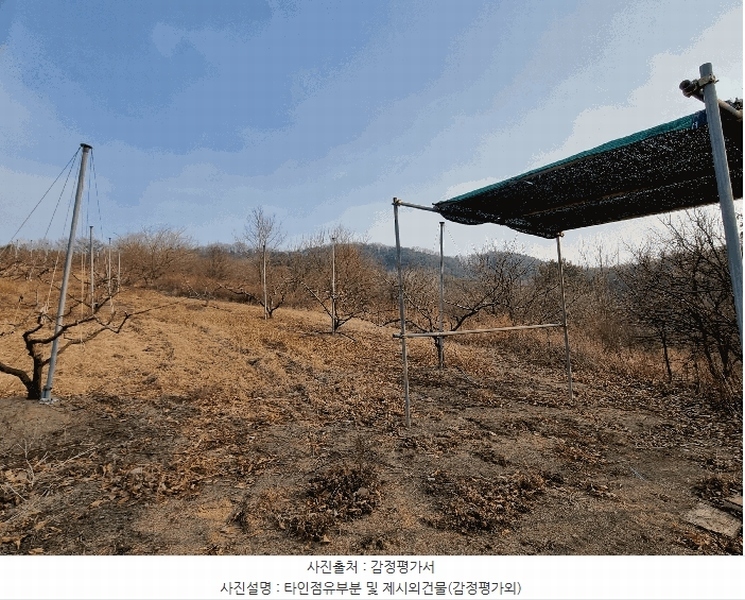2025타경6462 경상북도 영천시 대창면 용전리 산13-1 임야 경매 이미지