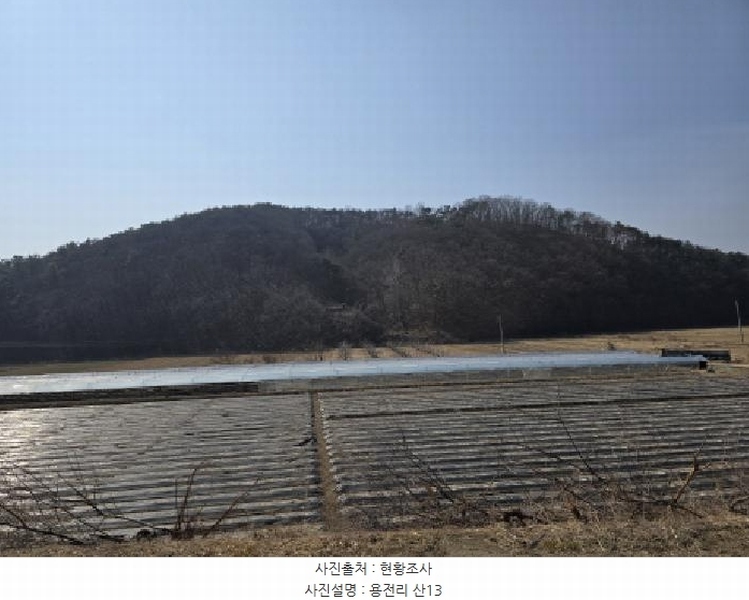 2025타경6462 경상북도 영천시 대창면 용전리 산13-1 임야 경매 이미지