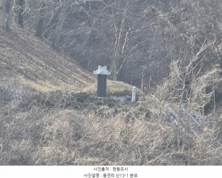 2025타경6462 경상북도 영천시 대창면 용전리 산13-1 임야 경매 이미지