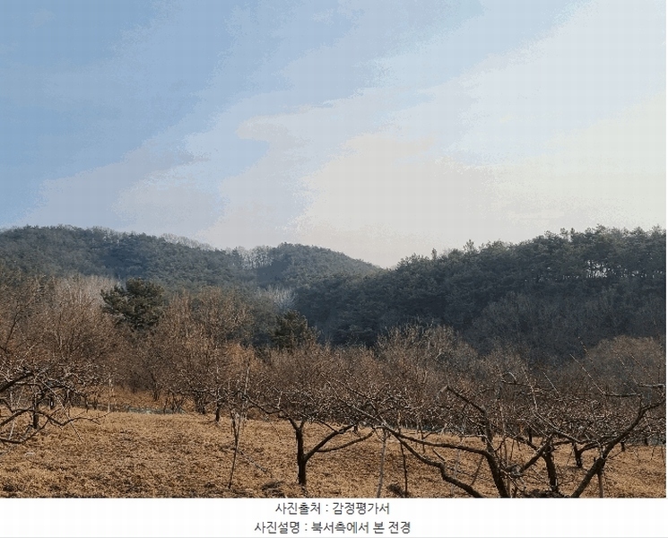 2025타경6462 경상북도 영천시 대창면 용전리 산13-1 임야 경매 이미지