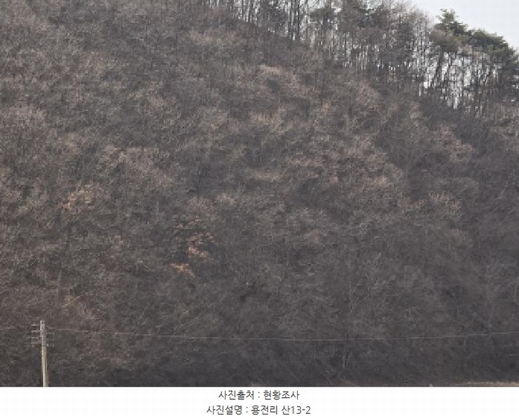 2025타경6462 경상북도 영천시 대창면 용전리 산13-1 임야 경매 이미지