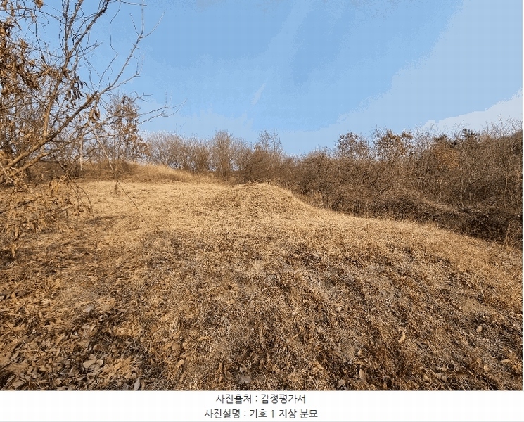 2025타경6462 경상북도 영천시 대창면 용전리 산13-1 임야 경매 이미지