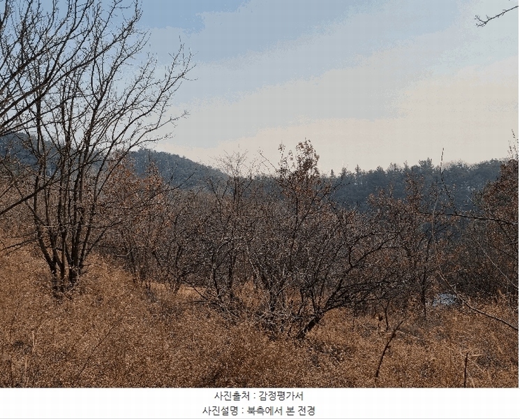 2025타경6462 경상북도 영천시 대창면 용전리 산13-1 임야 경매 이미지