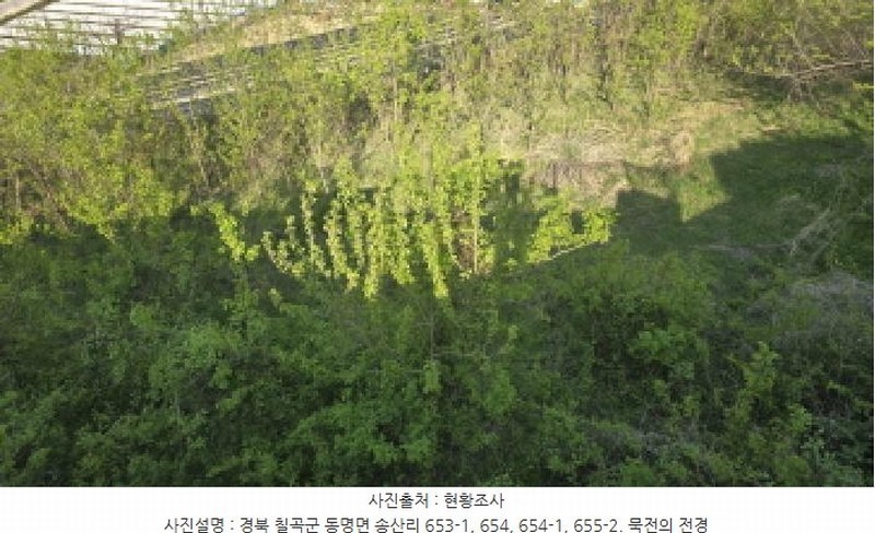 2025타경7577 경상북도 칠곡군 동명면 송산리 653-1 공장 경매 이미지