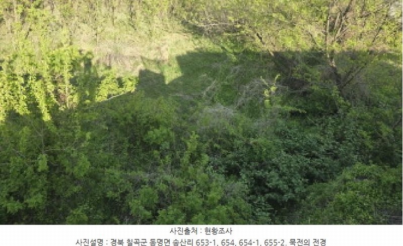 2025타경7577 경상북도 칠곡군 동명면 송산리 653-1 공장 경매 이미지