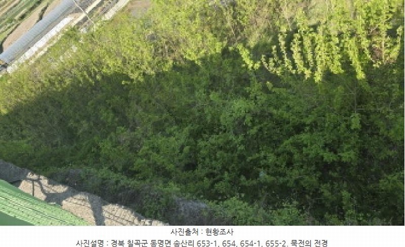 2025타경7577 경상북도 칠곡군 동명면 송산리 653-1 공장 경매 이미지