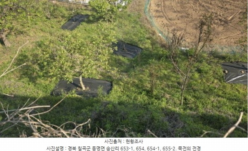 2025타경7577 경상북도 칠곡군 동명면 송산리 653-1 공장 경매 이미지