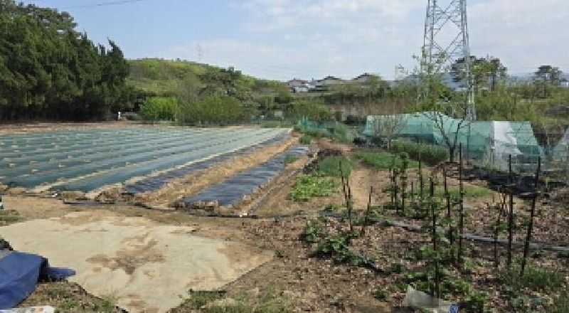 2025타경7643 대구광역시 북구 동호동 325-2 농지 경매 이미지