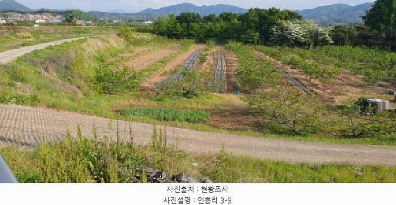 2025타경7753 경상북도 경산시 남산면 인흥리 3-5 임야 경매 이미지