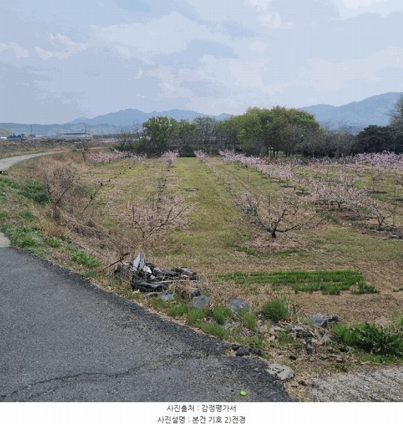 2025타경7753 경상북도 경산시 남산면 인흥리 3-5 임야 경매 이미지