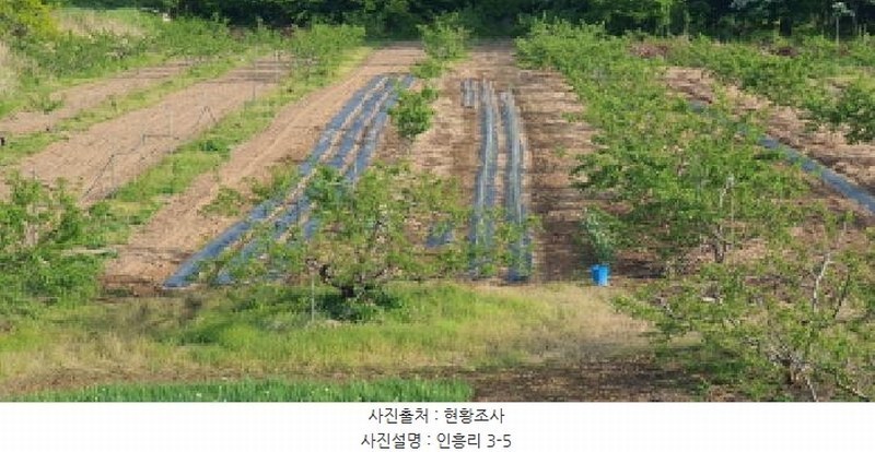 2025타경7753 경상북도 경산시 남산면 인흥리 3-5 임야 경매 이미지