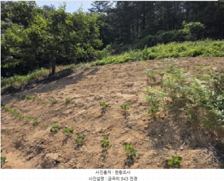 2025타경7776 경상북도 청도군 매전면 금곡리 943 농지 경매 이미지