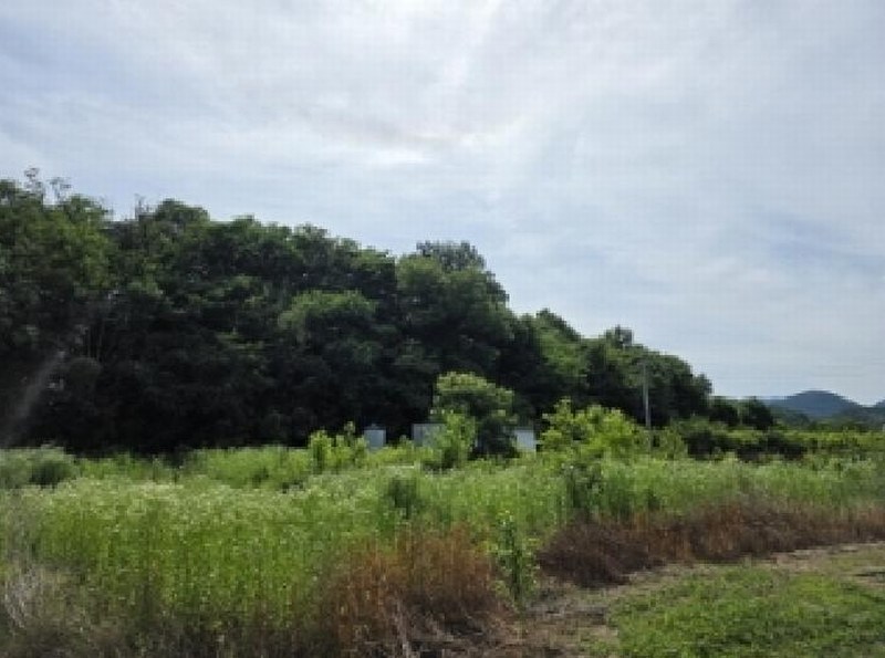 2025타경7874 경상북도 청도군 이서면 학산리 406 임야 경매 이미지