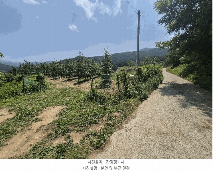 2025타경8082 경상북도 칠곡군 가산면 가산리 311 농지 경매 이미지