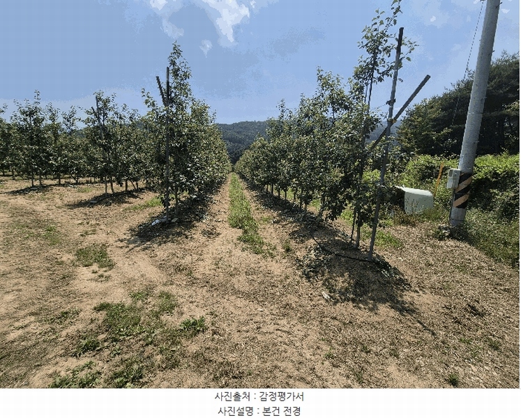 2025타경8082 경상북도 칠곡군 가산면 가산리 311 농지 경매 이미지