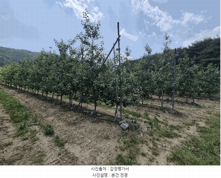 2025타경8082 경상북도 칠곡군 가산면 가산리 311 농지 경매 이미지