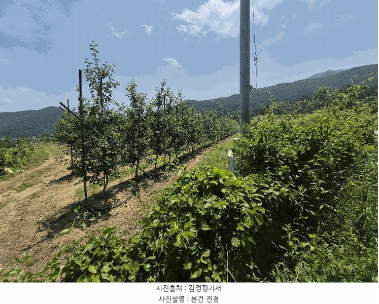 2025타경8082 경상북도 칠곡군 가산면 가산리 311 농지 경매 이미지