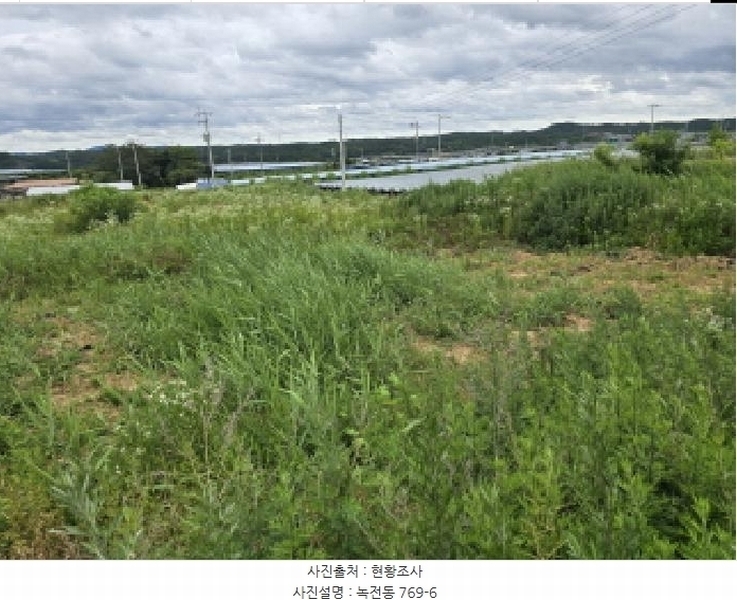2025타경8219 경상북도 영천시 녹전동 778-5 대지 경매 이미지