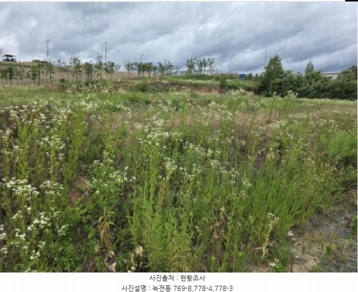 2025타경8219 경상북도 영천시 녹전동 778-5 대지 경매 이미지