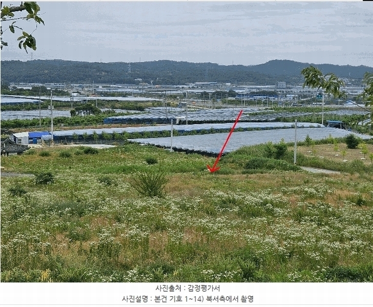 2025타경8219 경상북도 영천시 녹전동 778-5 대지 경매 이미지