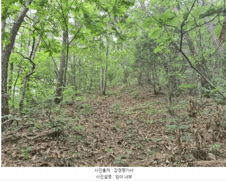 2025타경8238 경상북도 영천시 신녕면 화서리 산213 임야 경매 이미지