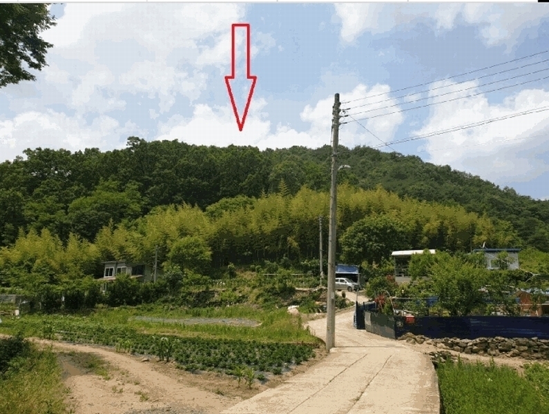 2025타경8238 경상북도 영천시 신녕면 화서리 산213 임야 경매 이미지