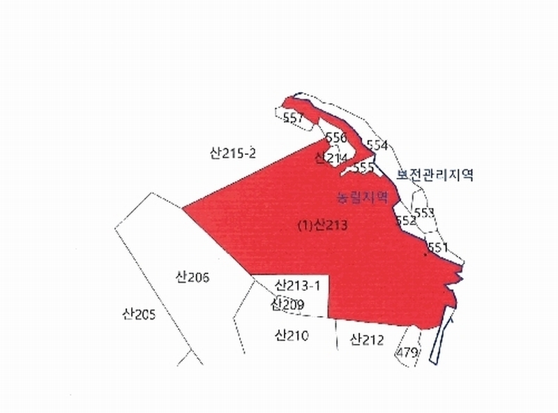 2025타경8238 경상북도 영천시 신녕면 화서리 산213 임야 경매 이미지