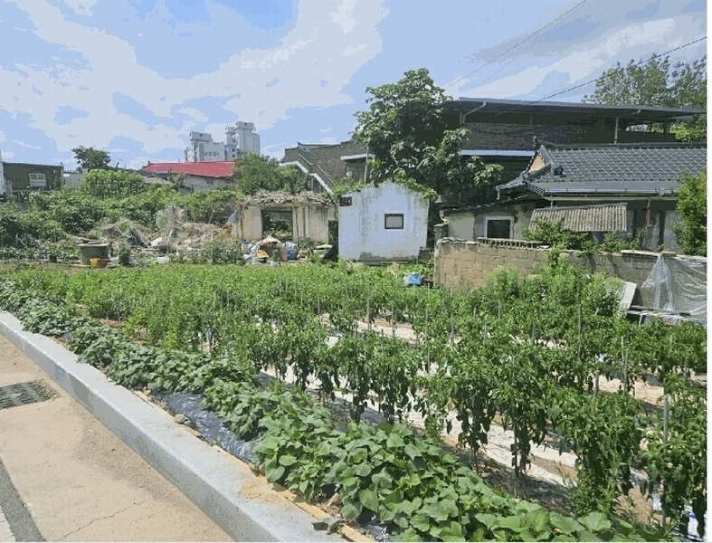 2025타경8269 경상북도 칠곡군 왜관읍 왜관리 615-1 대지 경매 이미지
