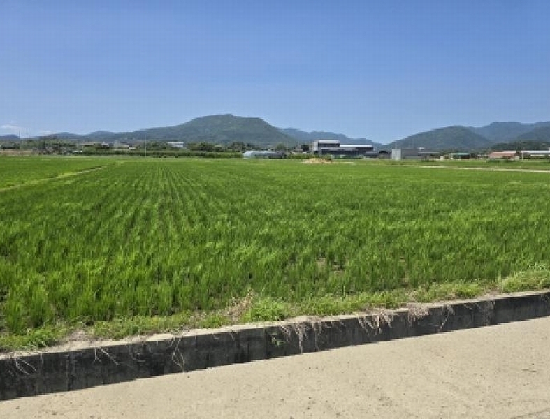 2025타경8403 경상북도 경산시 와촌면 계전리 233 농지 경매 이미지