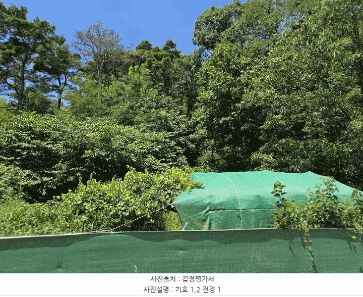 2025타경8669 경상북도 칠곡군 지천면 낙산리 산99 임야 경매 이미지