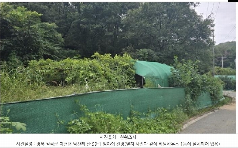 2025타경8669 경상북도 칠곡군 지천면 낙산리 산99 임야 경매 이미지