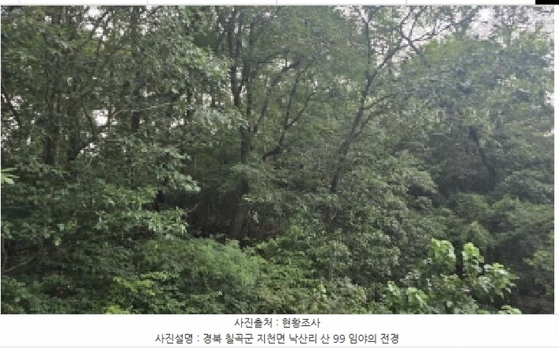 2025타경8669 경상북도 칠곡군 지천면 낙산리 산99 임야 경매 이미지