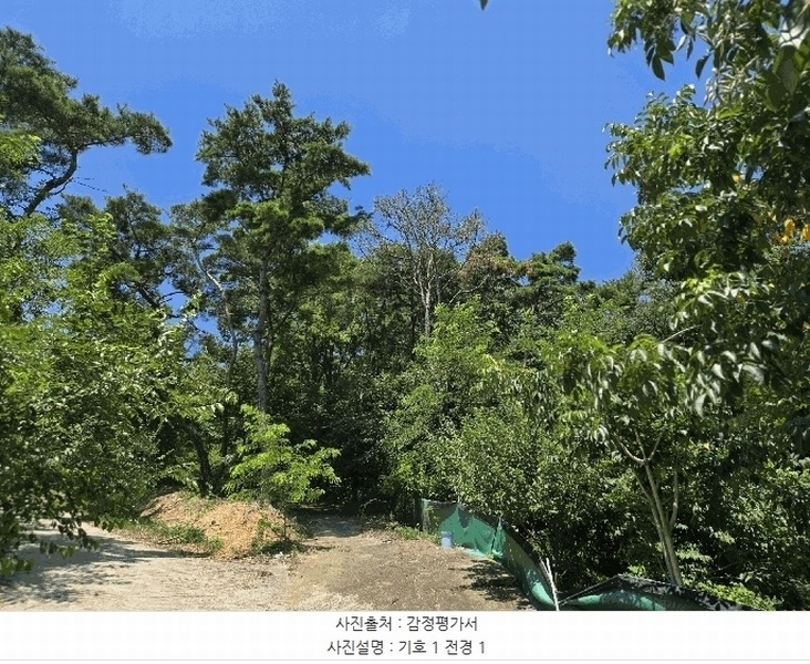 2025타경8669 경상북도 칠곡군 지천면 낙산리 산99 임야 경매 이미지