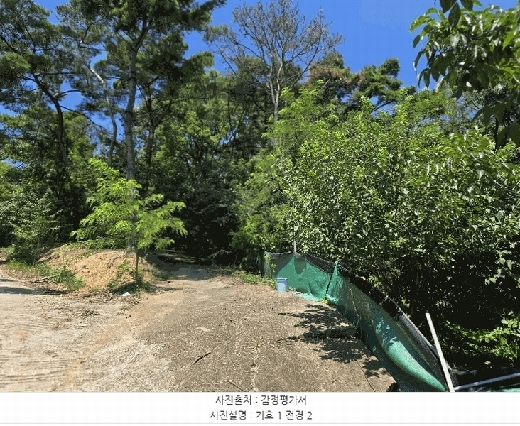 2025타경8669 경상북도 칠곡군 지천면 낙산리 산99 임야 경매 이미지