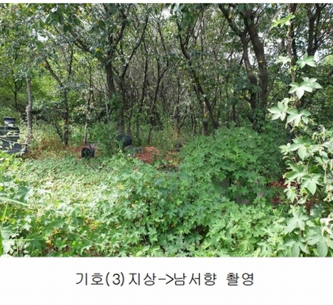 2025타경8740 경상북도 영천시 북안면 내포리 189-1 공장 경매 이미지
