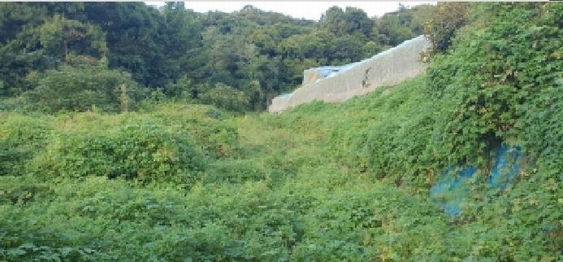 2025타경8785 경상북도 경산시 남천면 삼성리 60 농지 경매 이미지