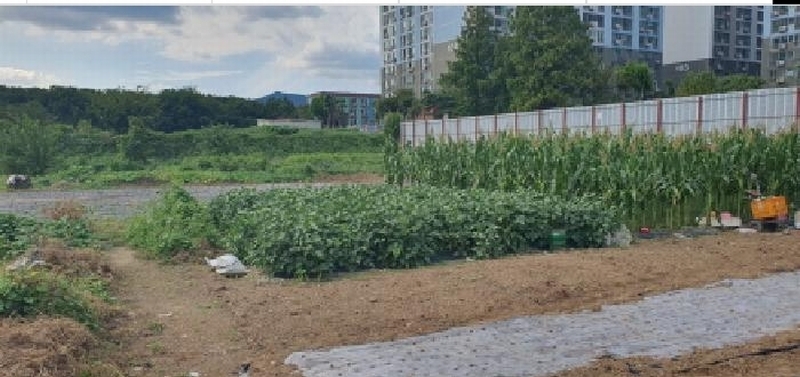 2025타경9020 경상북도 경산시 진량읍 부기리 540-1 농지 경매 이미지