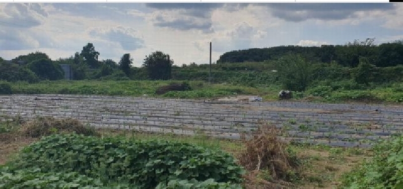 2025타경9020 경상북도 경산시 진량읍 부기리 540-1 농지 경매 이미지