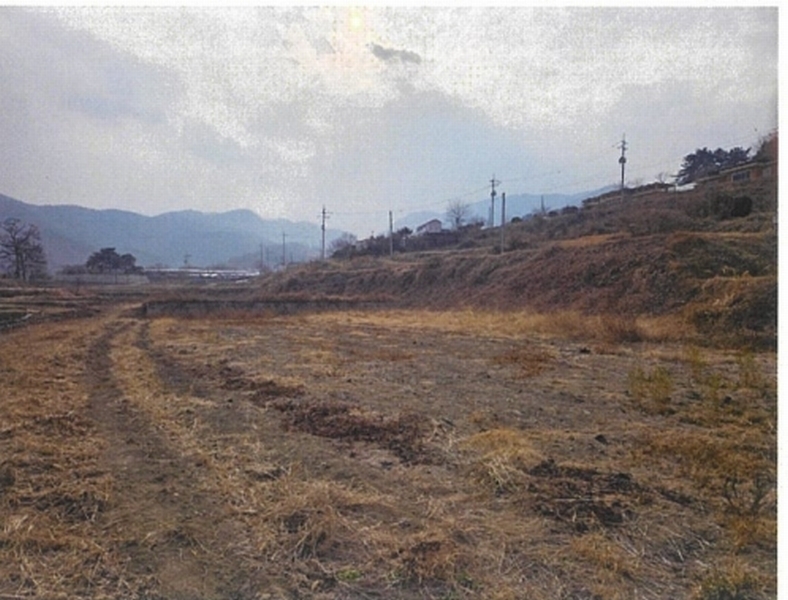 2024타경11603 경상북도 영천시 북안면 상리 305 농지 경매 이미지