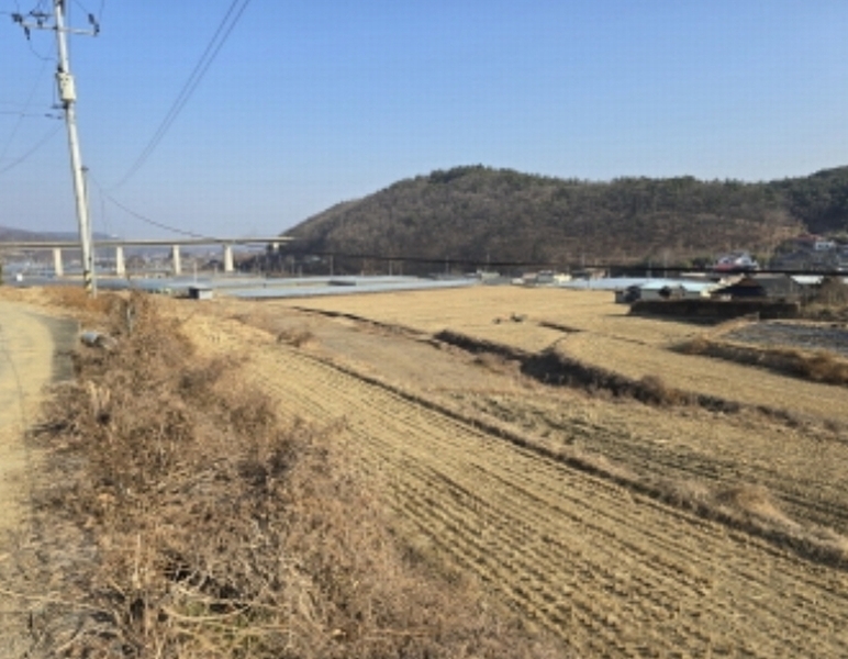 2024타경11603 경상북도 영천시 북안면 상리 305 농지 경매 이미지