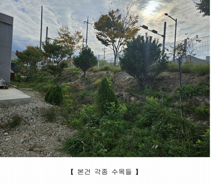 2024타경125335 경상북도 영천시 봉동 806 공장 경매 이미지