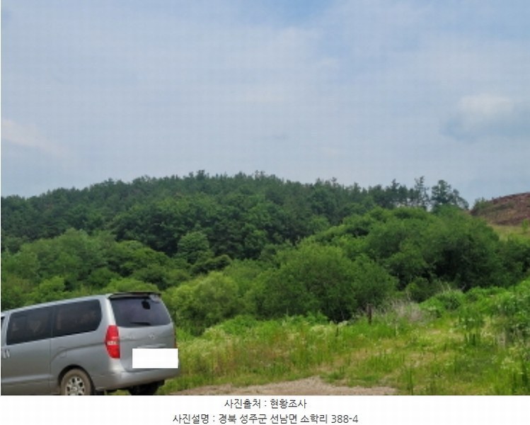 2024타경2248 경상북도 성주군 선남면 소학리 388-4 임야 경매 이미지
