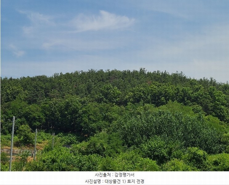 2024타경2248 경상북도 성주군 선남면 소학리 388-4 임야 경매 이미지
