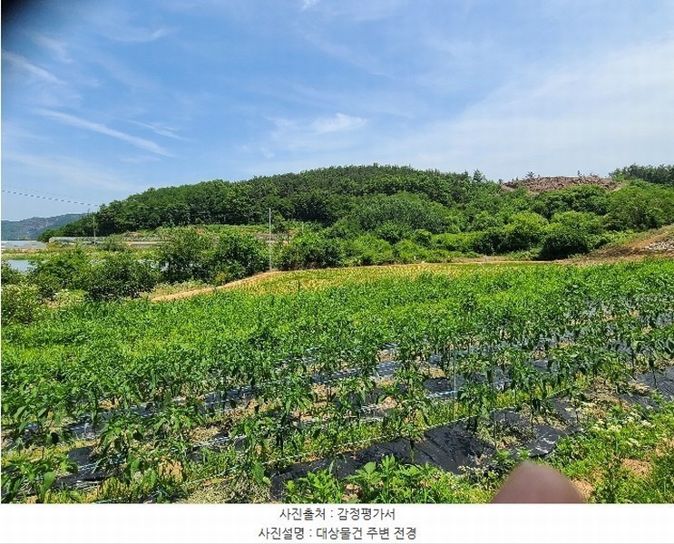 2024타경2248 경상북도 성주군 선남면 소학리 388-4 임야 경매 이미지