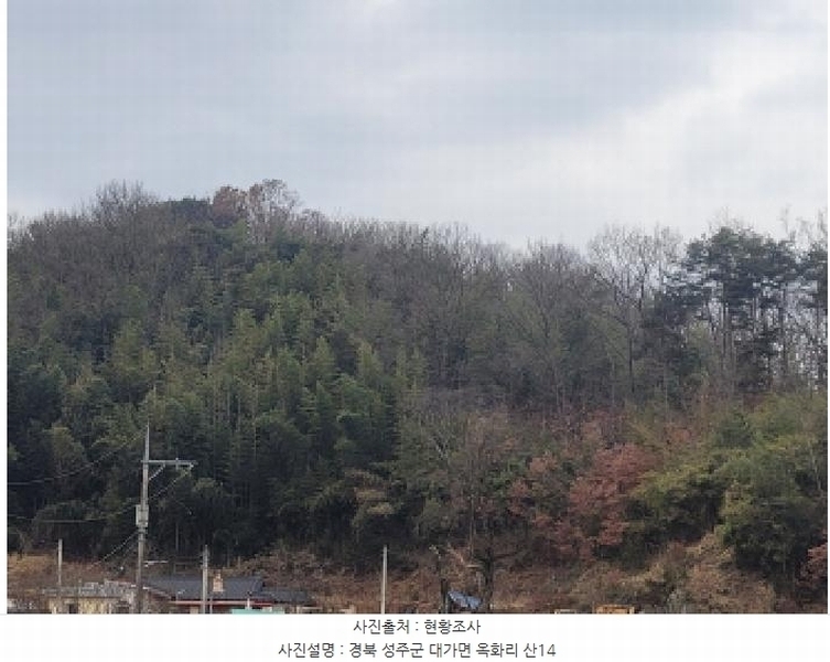 2024타경4121 경상북도 성주군 대가면 옥화리 산14 임야 경매 이미지
