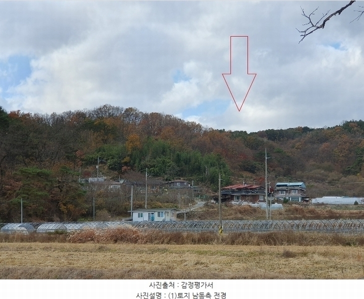 2024타경4121 경상북도 성주군 대가면 옥화리 산14 임야 경매 이미지