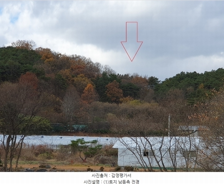 2024타경4121 경상북도 성주군 대가면 옥화리 산14 임야 경매 이미지